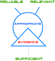 Sufficient and Appropriate Audit Evidence